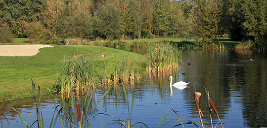 Golfclub Lippstadt e.V.